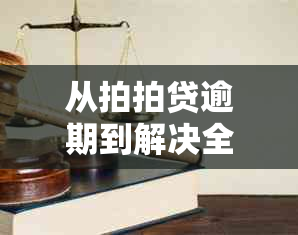 从拍拍贷逾期到解决全程：用户常见问题解答，避免被起诉的关键步骤！