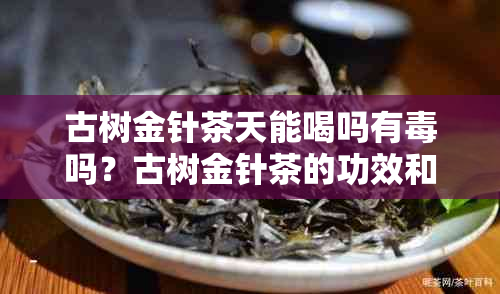 古树金针茶天能喝吗有吗？古树金针茶的功效和冲泡方法是？