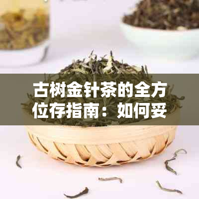 古树金针茶的全方位存指南：如何妥善保存以保持其品质与风味？