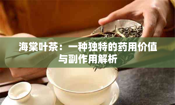 海棠叶茶：一种独特的用价值与副作用解析