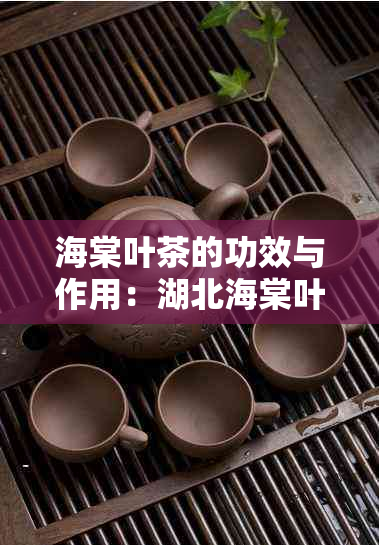 海棠叶茶的功效与作用：湖北海棠叶茶的功效、禁忌及注意事项。