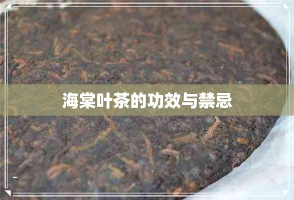 海棠叶茶的功效与禁忌