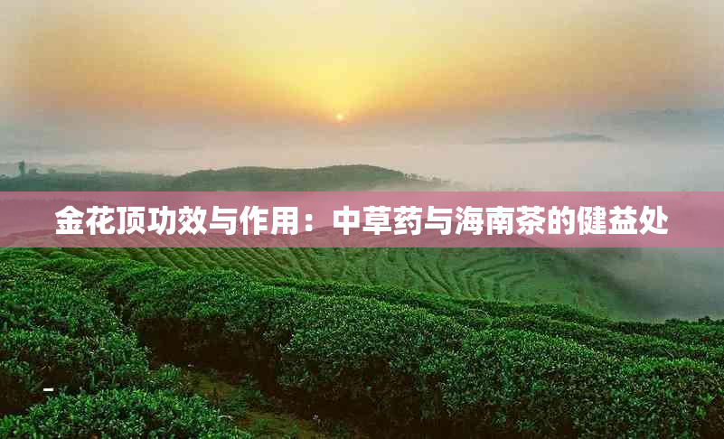 金花顶功效与作用：中草与海南茶的健益处