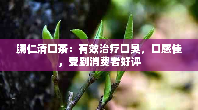 鹏仁清口茶：有效治疗口臭，口感佳，受到消费者好评