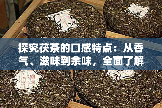 探究茯茶的口感特点：从香气、滋味到余味，全面了解这种中国经典茶叶