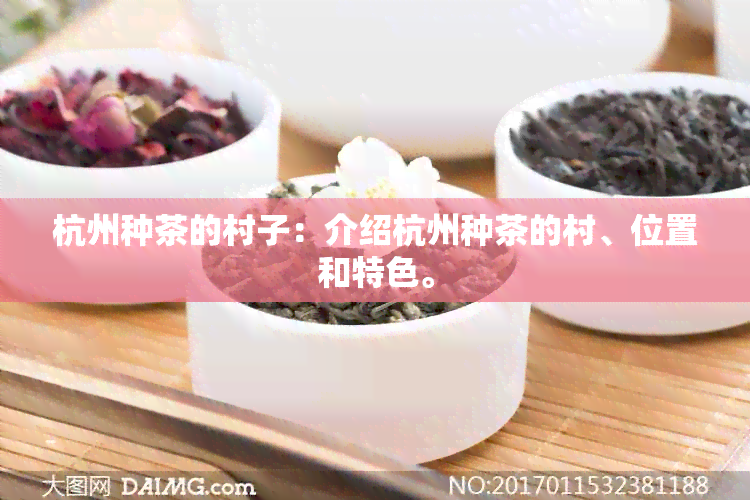 杭州种茶的村子：介绍杭州种茶的村、位置和特色。