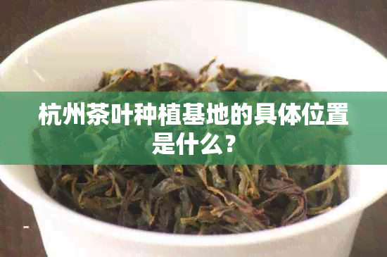 杭州茶叶种植基地的具 *** 置是什么？