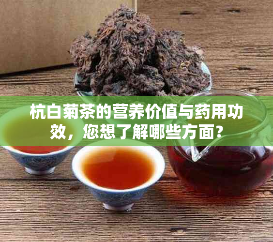 杭白菊茶的营养价值与用功效，您想了解哪些方面？