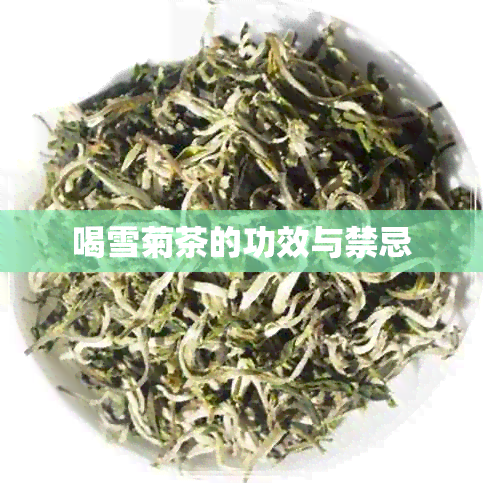 喝雪菊茶的功效与禁忌