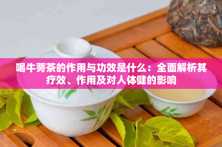 喝牛蒡茶的作用与功效是什么：全面解析其疗效、作用及对人体健的影响