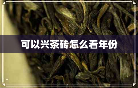 可以兴茶砖怎么看年份