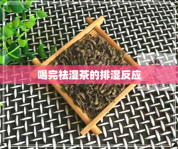 喝完祛湿茶的排湿反应