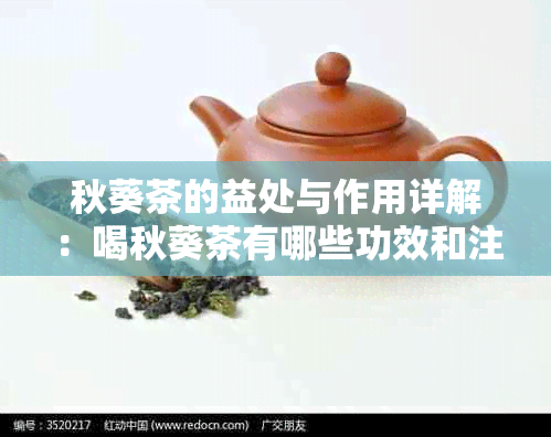 秋葵茶的益处与作用详解：喝秋葵茶有哪些功效和注意事项？