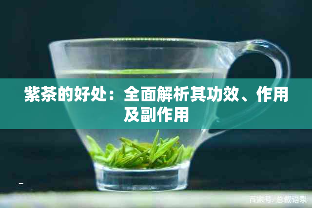 紫茶的好处：全面解析其功效、作用及副作用