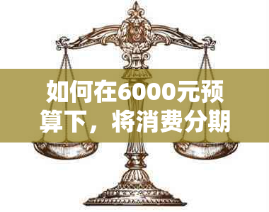 如何在6000元预算下，将消费分期24期？