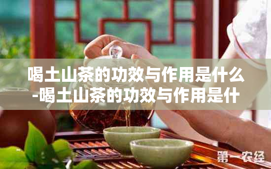 喝土山茶的功效与作用是什么-喝土山茶的功效与作用是什么呢