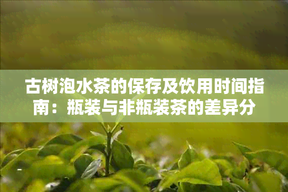 古树泡水茶的保存及饮用时间指南：瓶装与非瓶装茶的差异分析