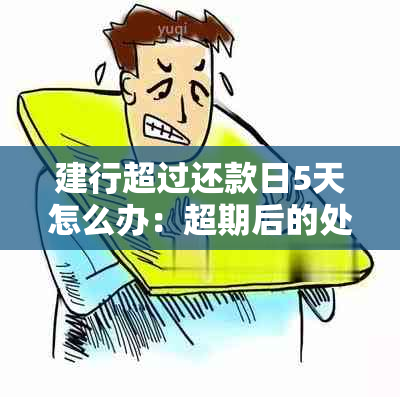 建行超过还款日5天怎么办：超期后的处理流程与影响分析