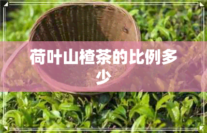 荷叶山楂茶的比例多少