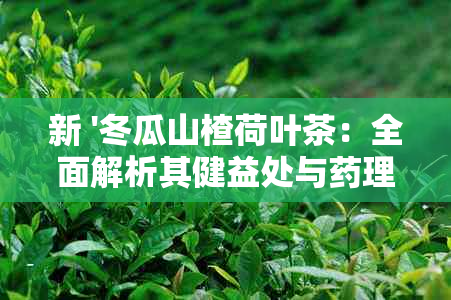 新 '冬瓜山楂荷叶茶：全面解析其健益处与理效应'