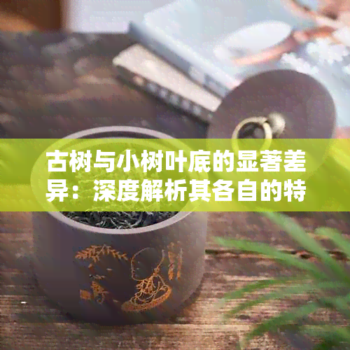 古树与小树叶底的显著差异：深度解析其各自的特点和成因