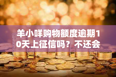 羊小咩购物额度逾期10天上吗？不还会怎样处理？