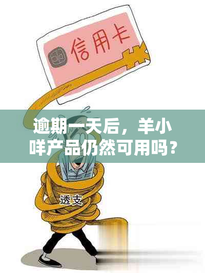 逾期一天后，羊小咩产品仍然可用吗？解答用户疑问并提供全面解决方案