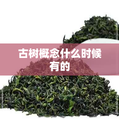 古树概念什么时候有的