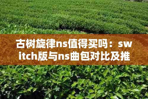 古树旋律ns值得买吗：switch版与ns曲包对比及推荐，详细内容请查看。