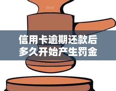 信用卡逾期还款后多久开始产生罚金？了解详细时间表和影响因素