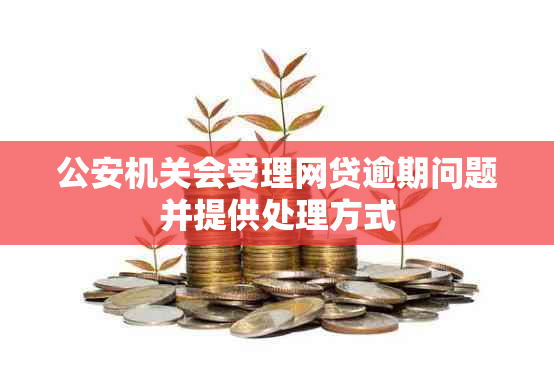 公安机关会受理网贷逾期问题并提供处理方式