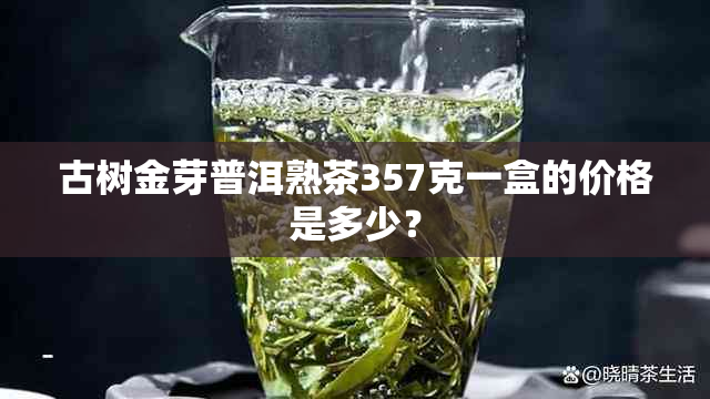 古树金芽普洱熟茶357克一盒的价格是多少？