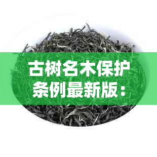 古树名木保护条例最新版：目录与绿化委员会