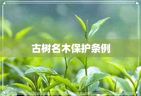 古树名木保护条例