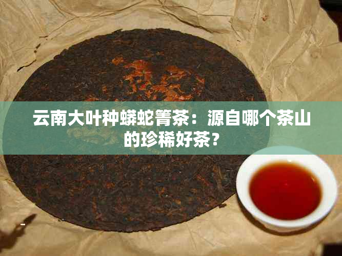 云南大叶种蟒蛇箐茶：源自哪个茶山的珍稀好茶？