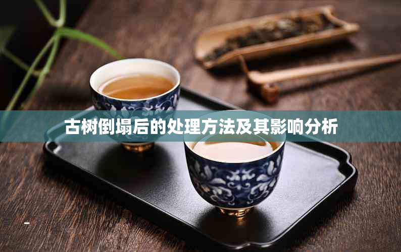 古树倒塌后的处理方法及其影响分析