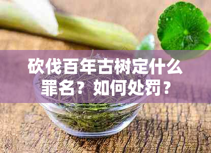 砍伐百年古树定什么罪名？如何处罚？