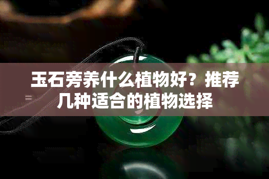 玉石旁养什么植物好？推荐几种适合的植物选择