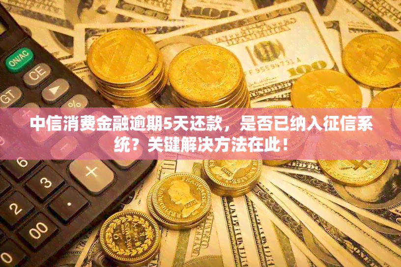 中信消费金融逾期5天还款，是否已纳入系统？关键解决方法在此！