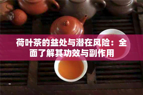 荷叶茶的益处与潜在风险：全面了解其功效与副作用