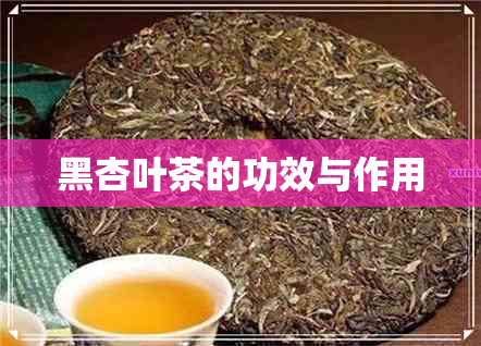 黑杏叶茶的功效与作用