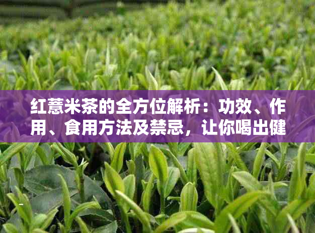 红薏米茶的全方位解析：功效、作用、食用方法及禁忌，让你喝出健与美丽！