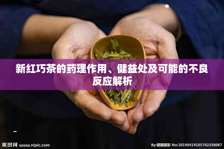 新红巧茶的理作用、健益处及可能的不良反应解析