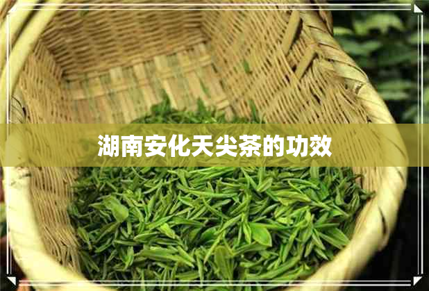 湖南安化天尖茶的功效