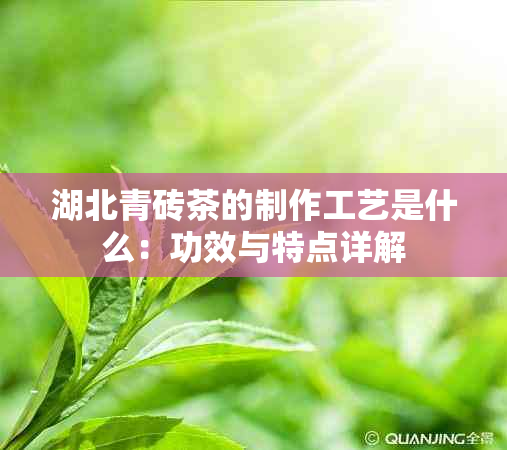 湖北青砖茶的制作工艺是什么：功效与特点详解