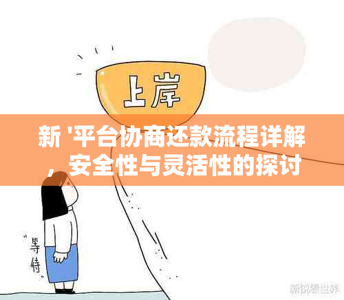 新 '平台协商还款流程详解，安全性与灵活性的探讨'