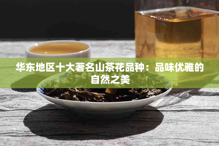 华东地区十大著名山茶花品种：品味优雅的自然之美