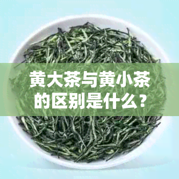 黄大茶与黄小茶的区别是什么？