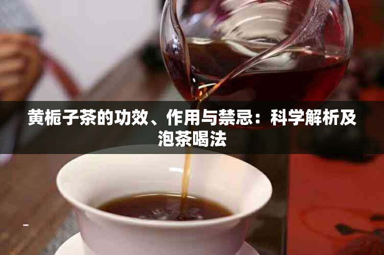 黄栀子茶的功效、作用与禁忌：科学解析及泡茶喝法