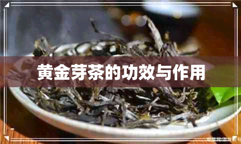 黄金芽茶的功效与作用